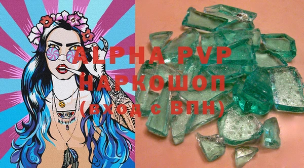PSILOCYBIN Бородино