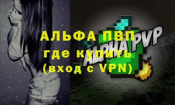 PSILOCYBIN Бородино