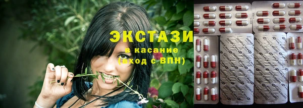 PSILOCYBIN Бородино