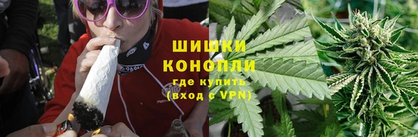 PSILOCYBIN Бородино