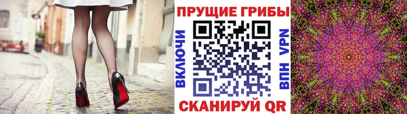 закладка Энгельс Псилоцибиновые грибы прущие грибы